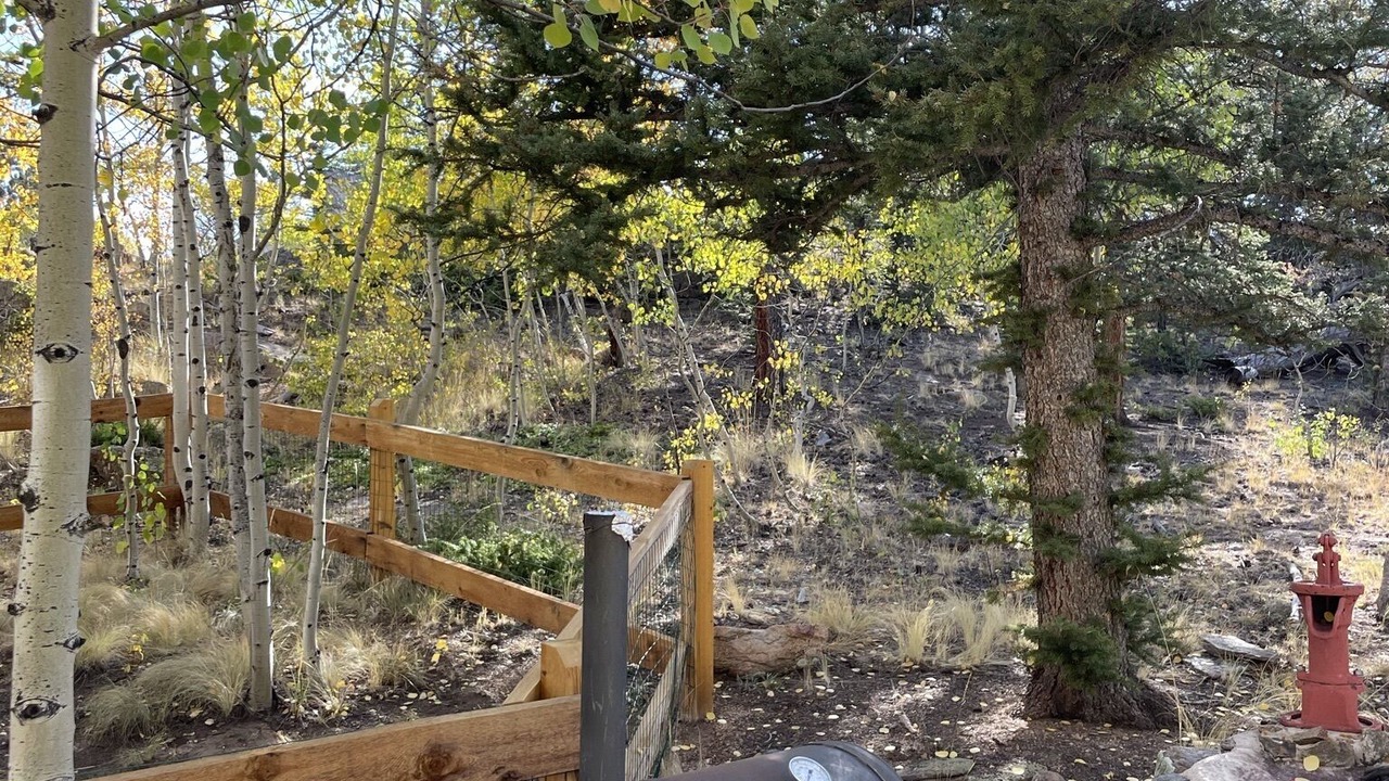 Photo of Outdoor in Indian Mountain