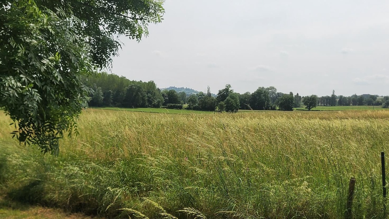 Photo of Others in Laussou