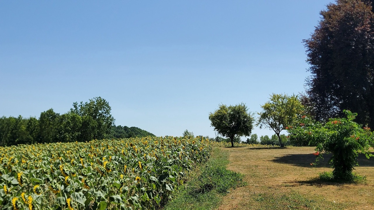 Photo of Others in Laussou
