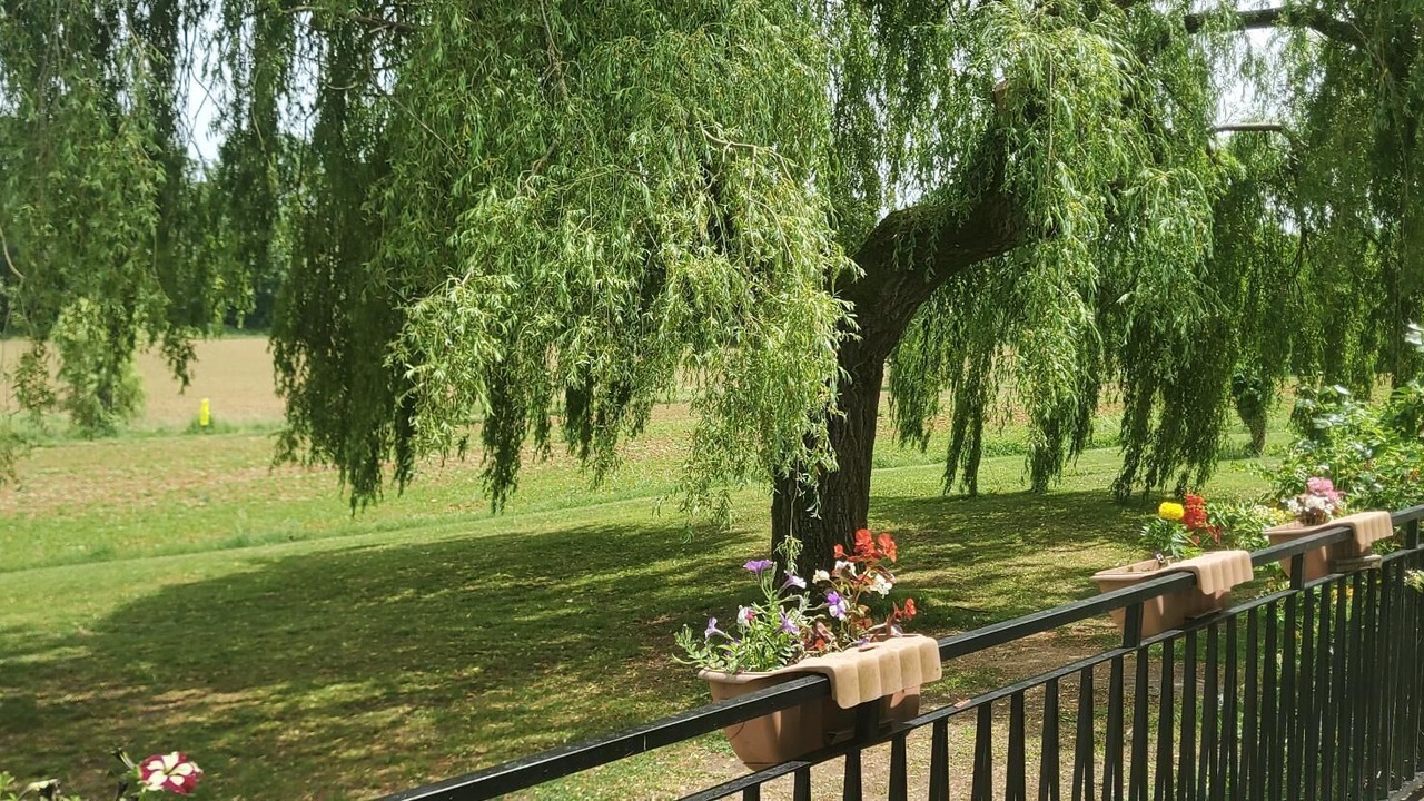 Photo of Others in Laussou