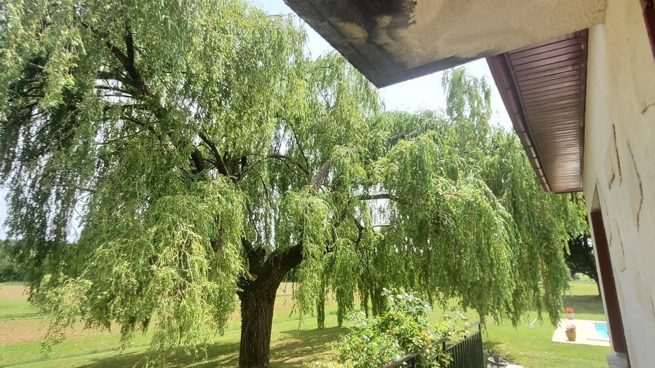 Photo of Others in Laussou