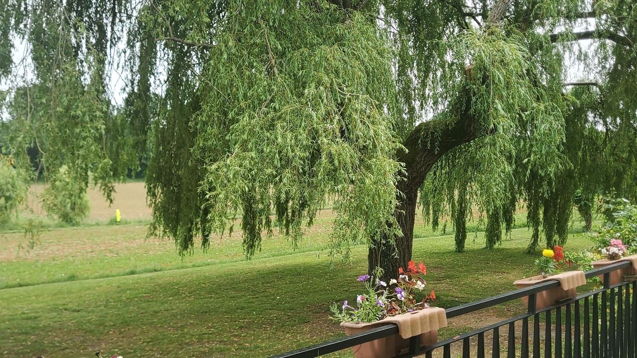 Photo of Others in Laussou