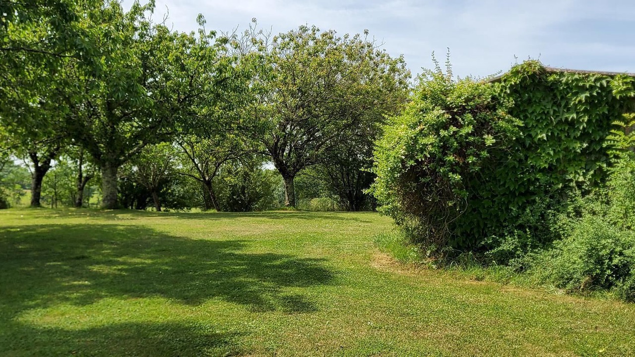 Photo of Others in Laussou