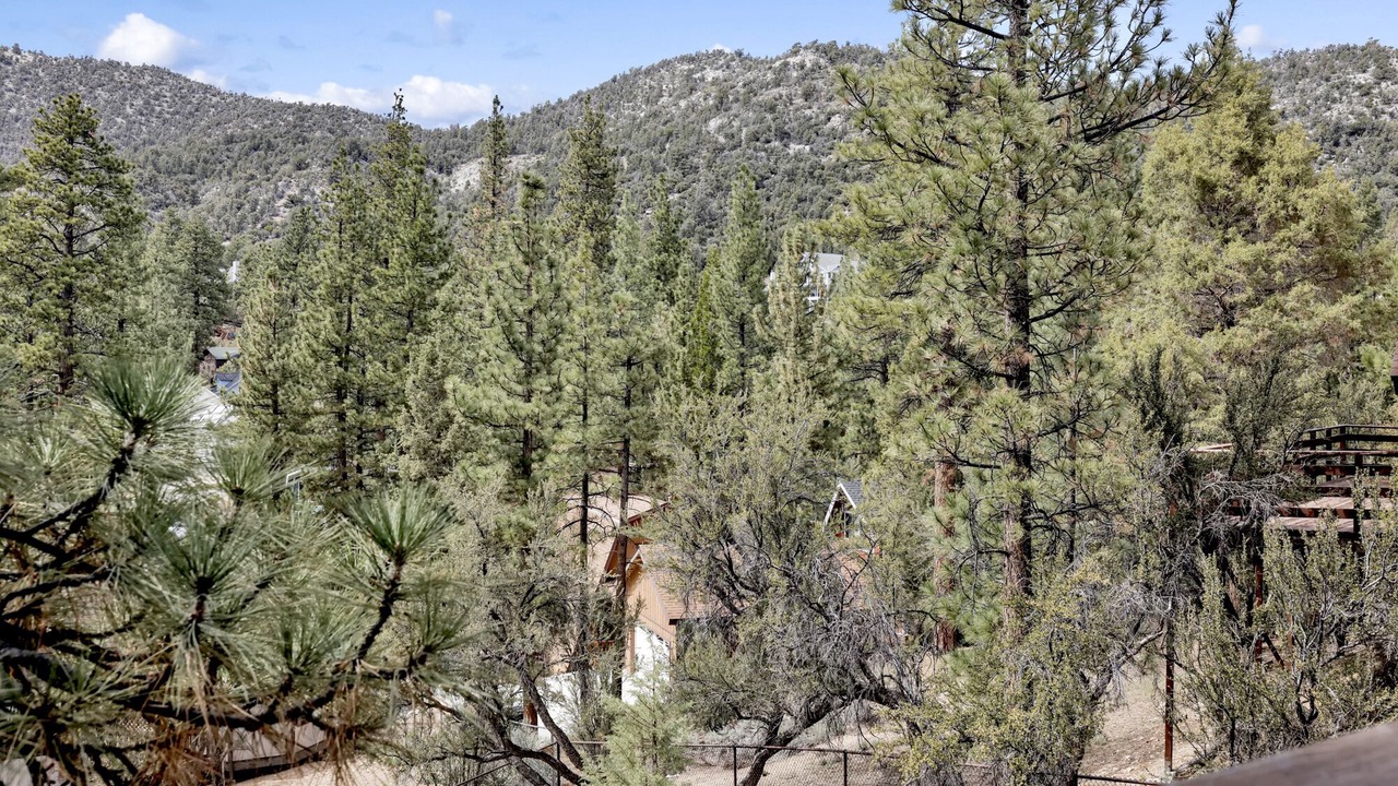 Photo of Outdoor in Whispering Forest
