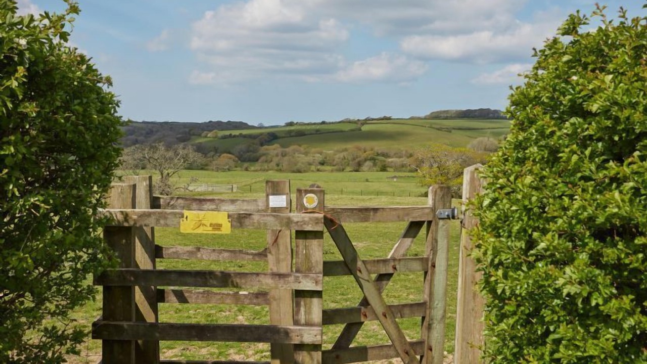 Photo of Others in Saint Columb Major