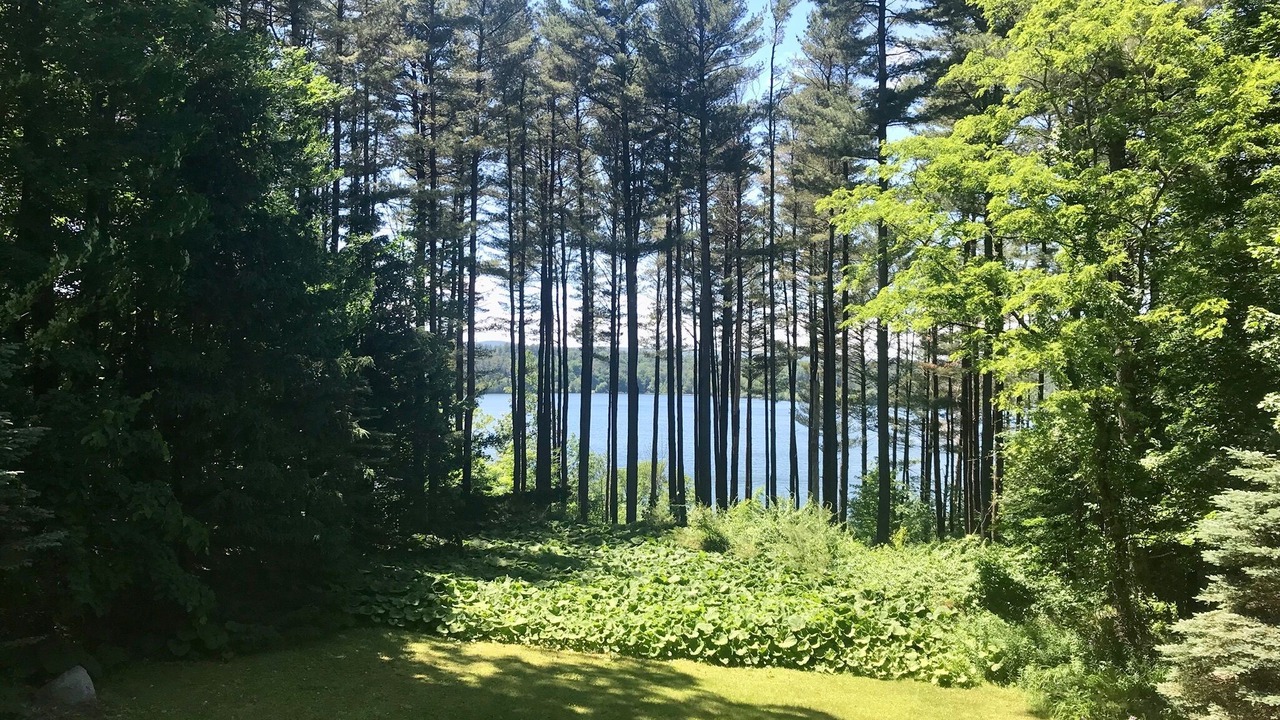 Photo of Outdoor in Lenox Dale