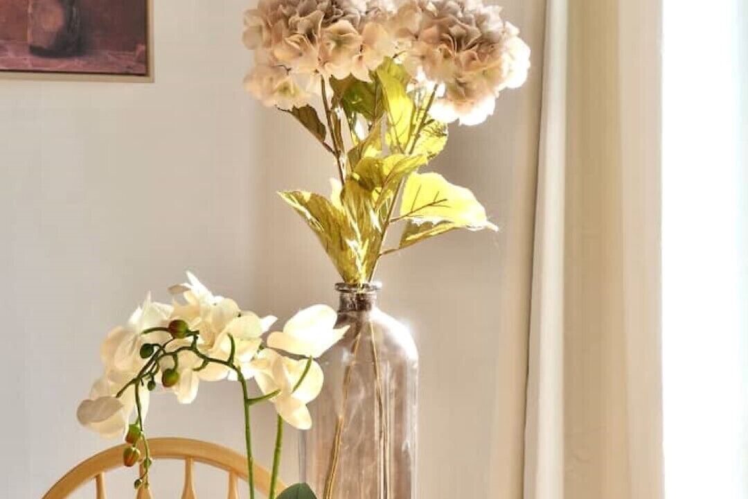 Photo of Others in Le Dorat