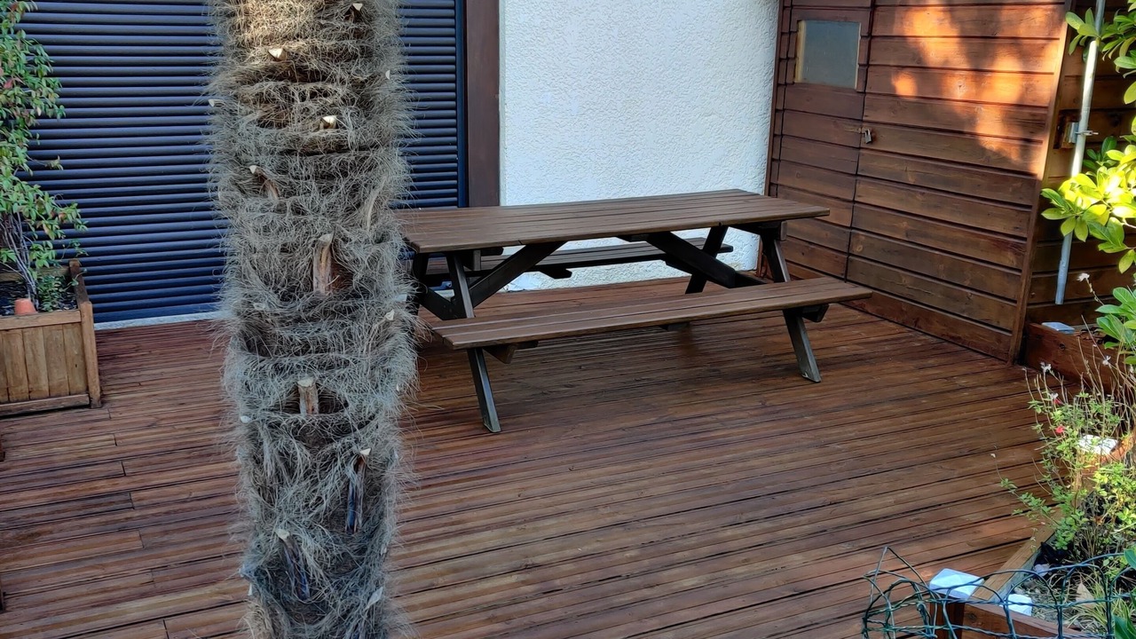 Photo of Outdoor in Saint-Julien-en-Born