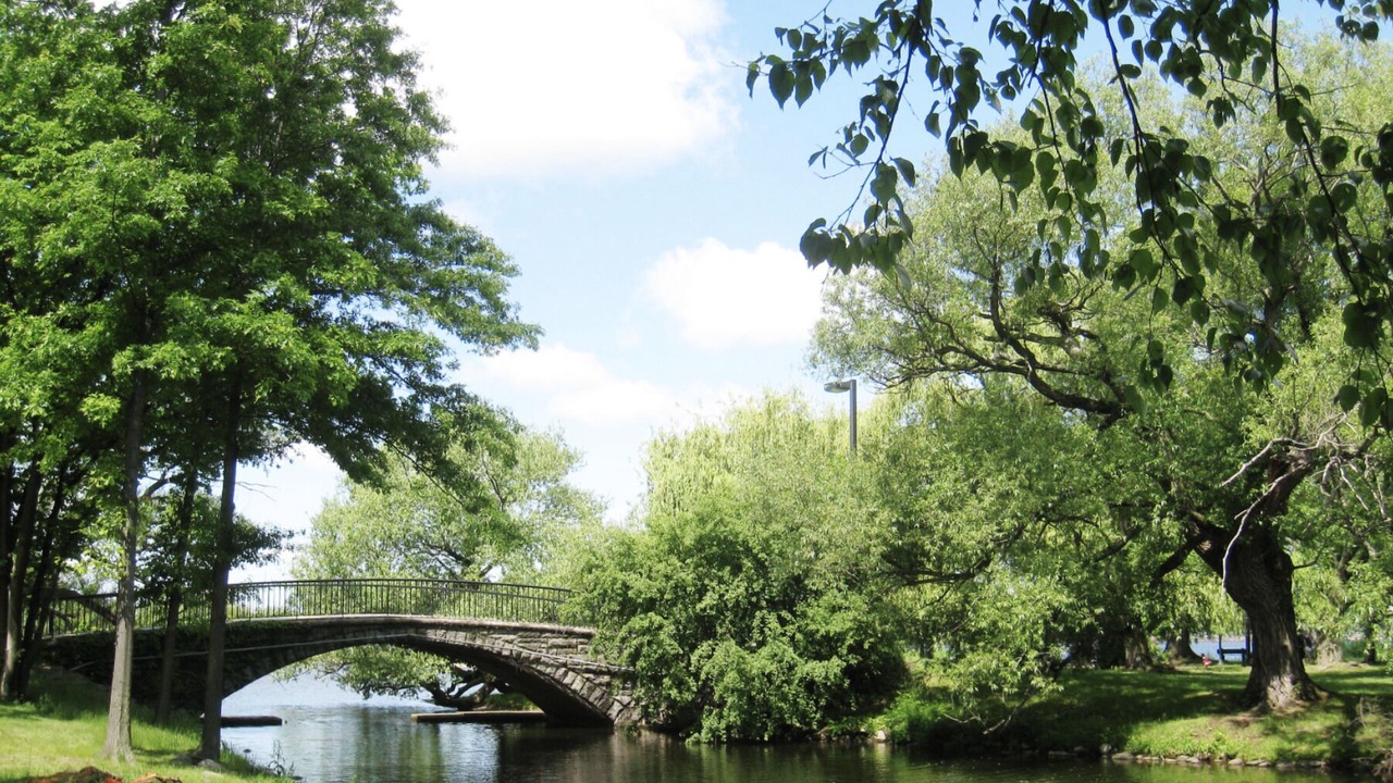 Photo of Others in Watertown