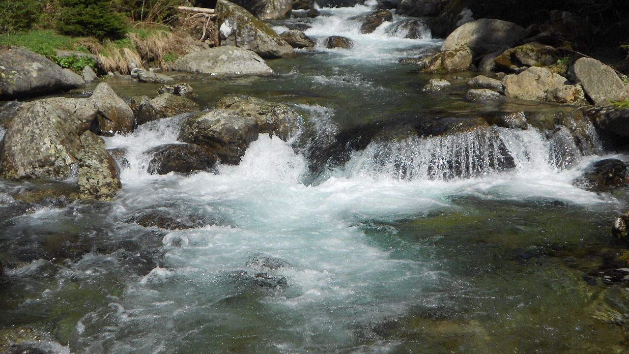 Photo of Others in Saint-Martin-Vesubie