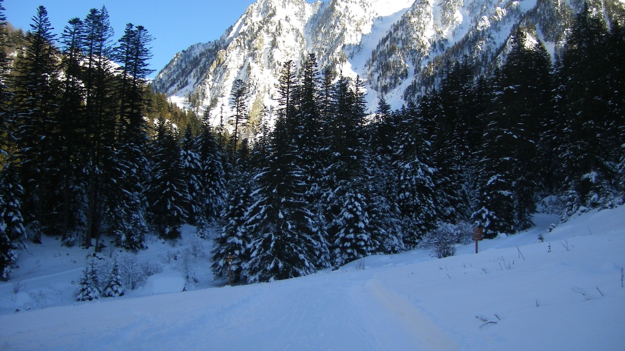 Photo of Others in Saint-Martin-Vesubie