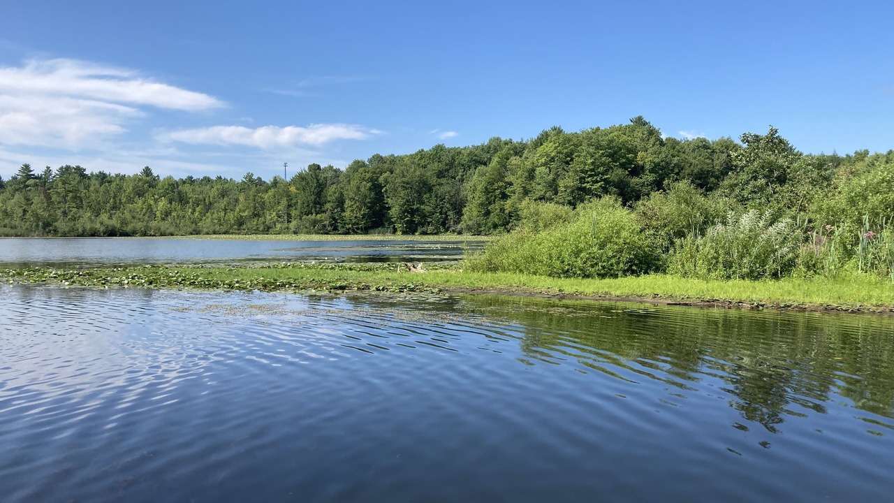 Photo of Outdoor in Mayfield