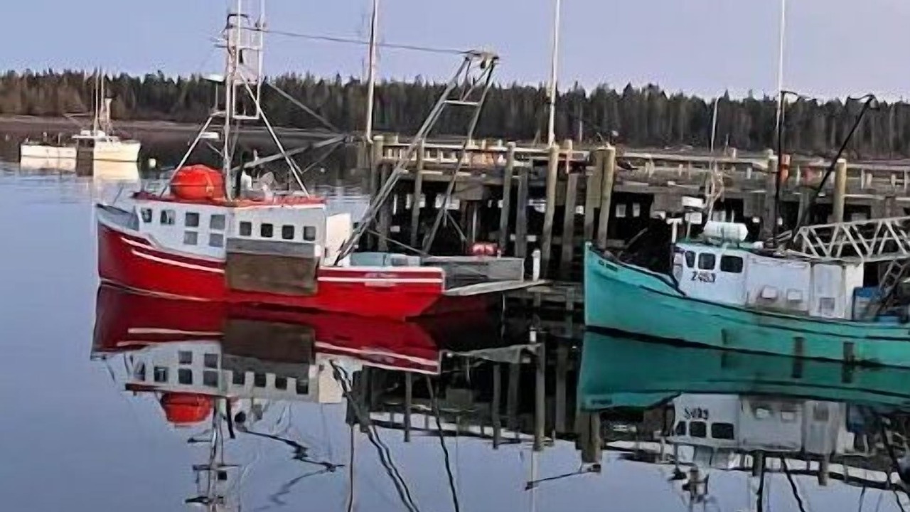 Photo of Others in St. Andrews