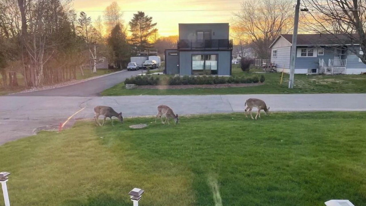 Photo of Others in St. Andrews