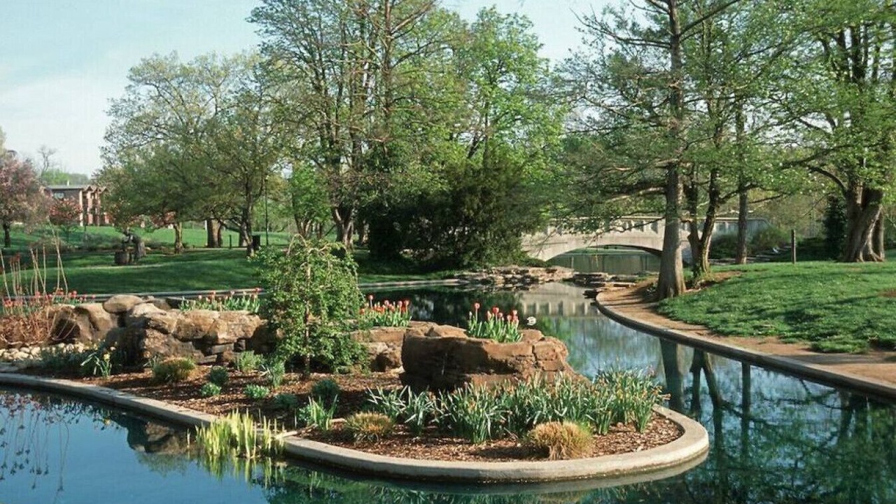 Photo of Outdoor in Mount Adams