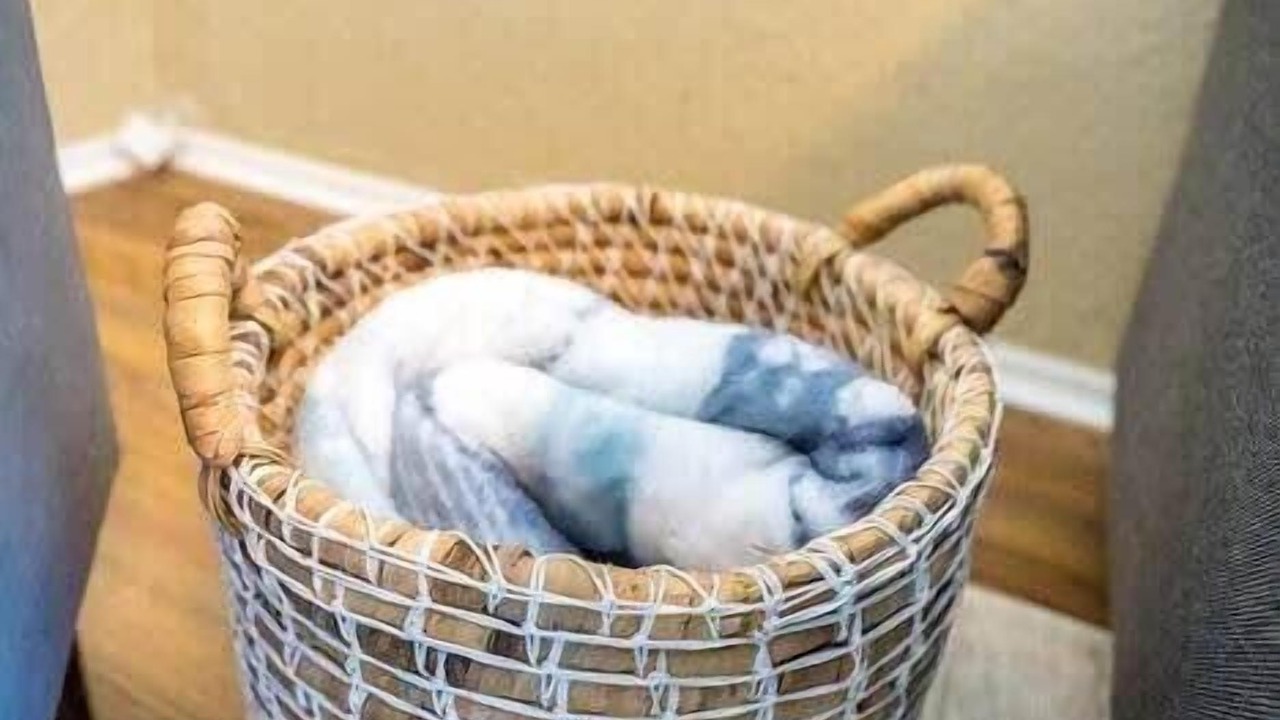 Photo of Others in Riverside