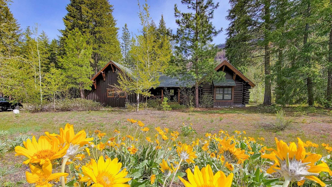 Photo of Outdoor in Mazama