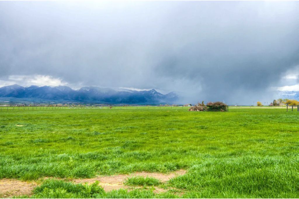 Photo of Others in Belgrade