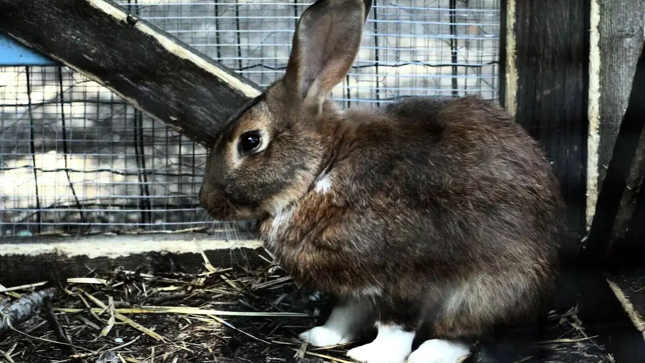 Photo of Others in Villers-les-Nancy