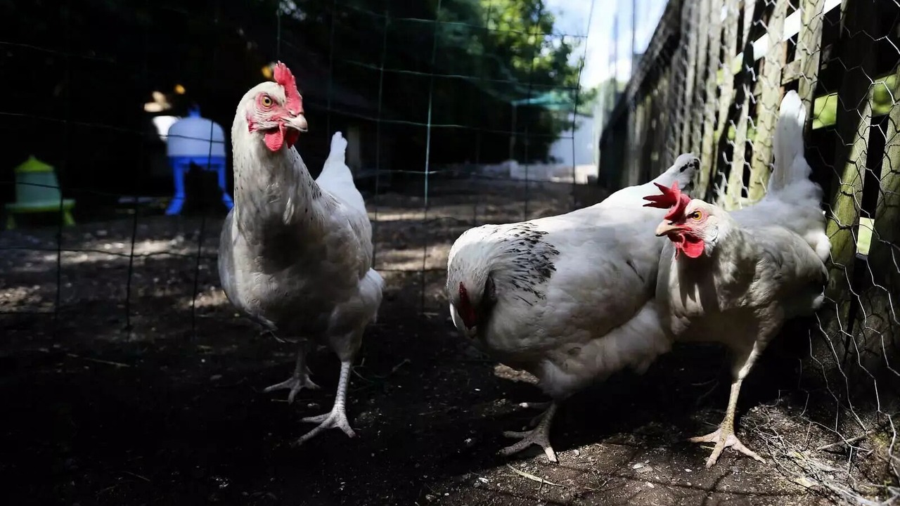 Photo of Others in Villers-les-Nancy