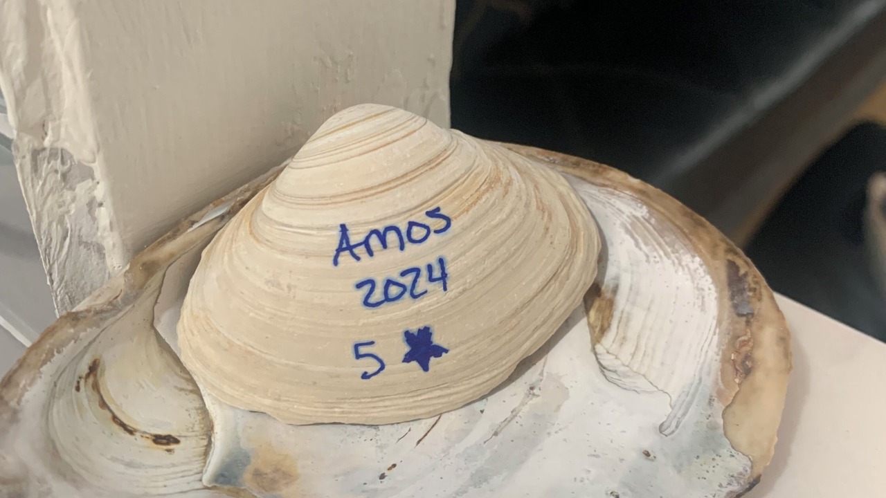 Photo of Outdoor in Long Beach