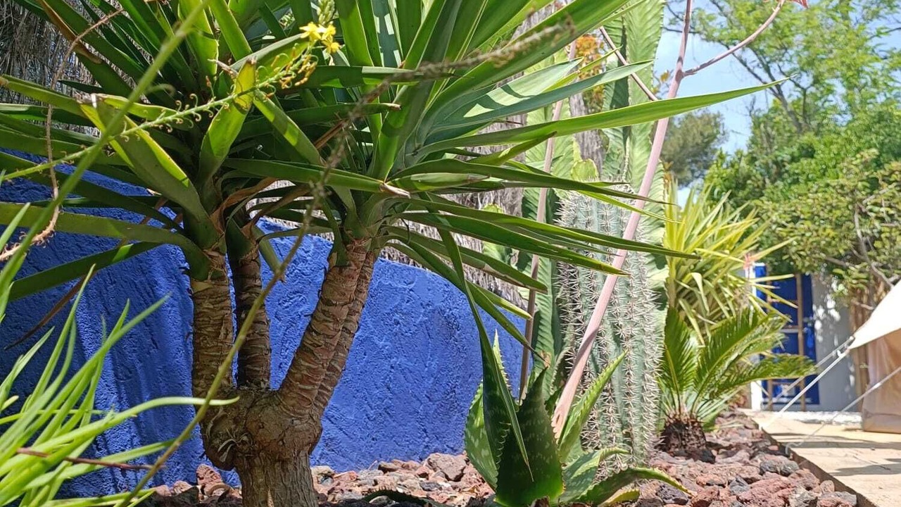Photo of Outdoor in Les Sablettes