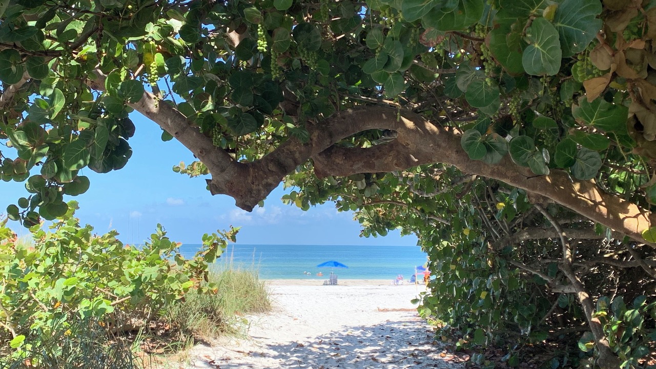 Photo of Others in Bradenton