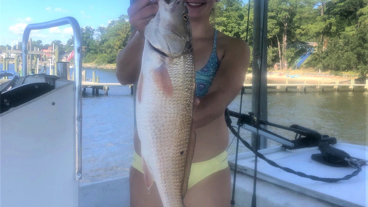 Photo of Outdoor in Minnesott Beach