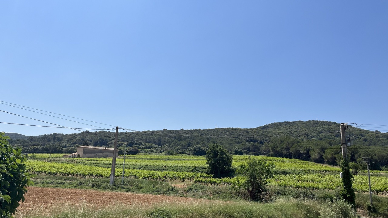 Photo of Others in Venejan