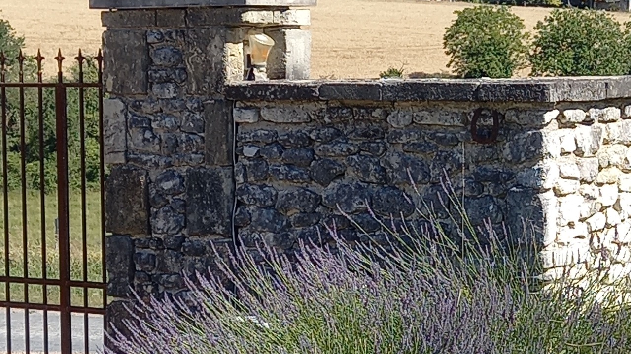 Photo of Outdoor in Rilly-sur-Vienne