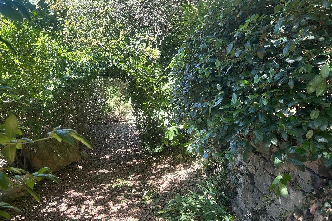 Photo of Outdoor in Caremeau