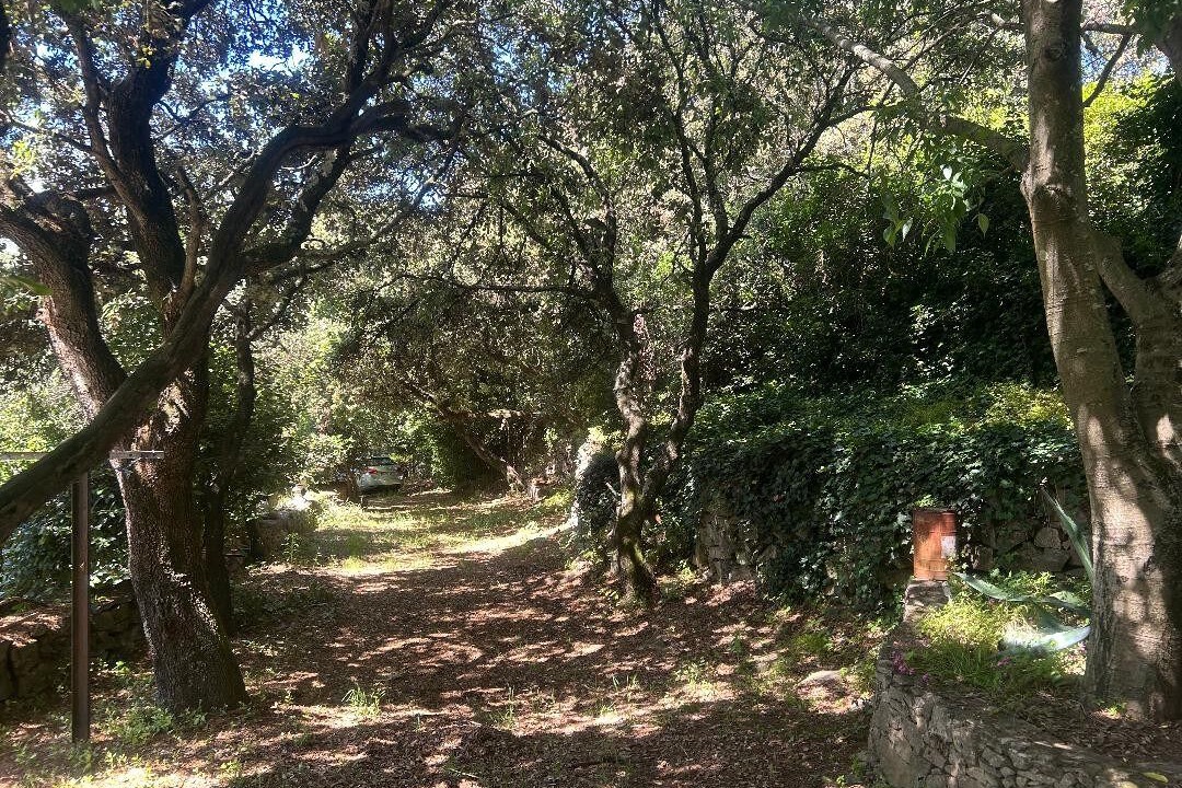 Photo of Outdoor in Caremeau