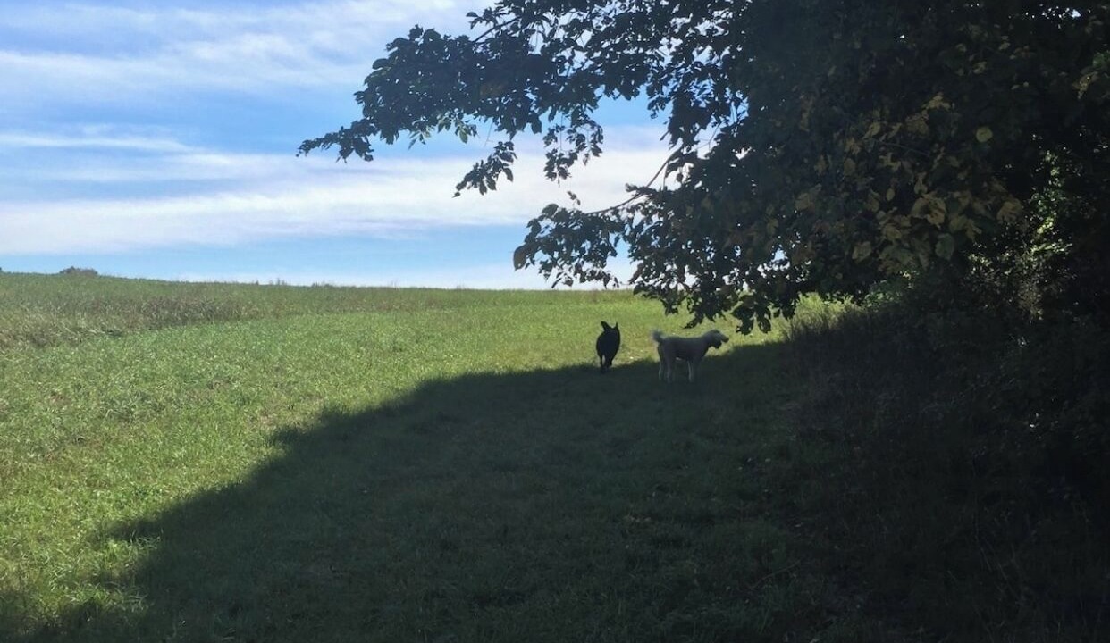 Photo of Others in Brooks