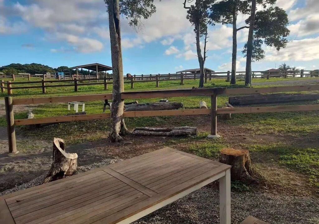 Photo of Outdoor in Kuranda
