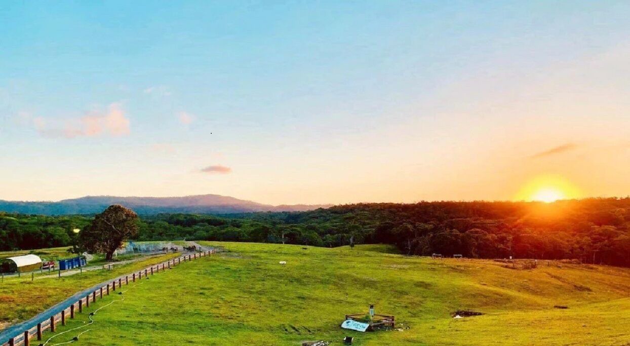 Photo of Others in Kuranda