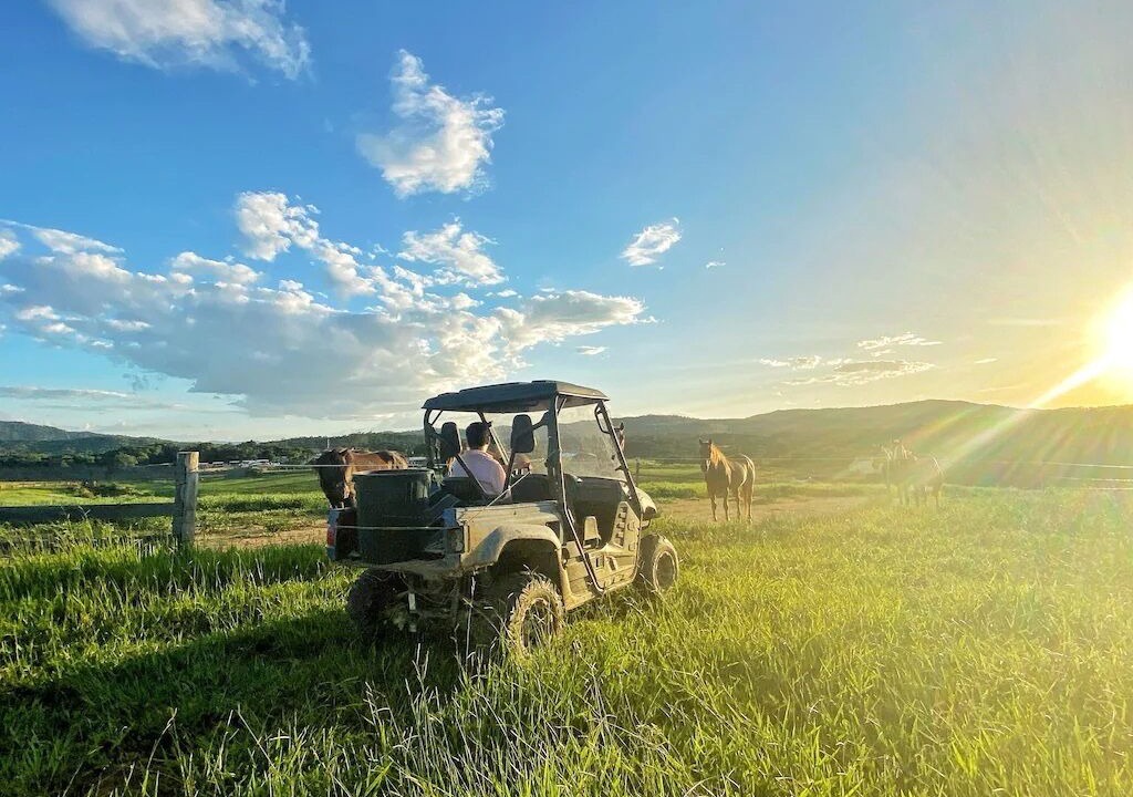 Photo of Others in Kuranda