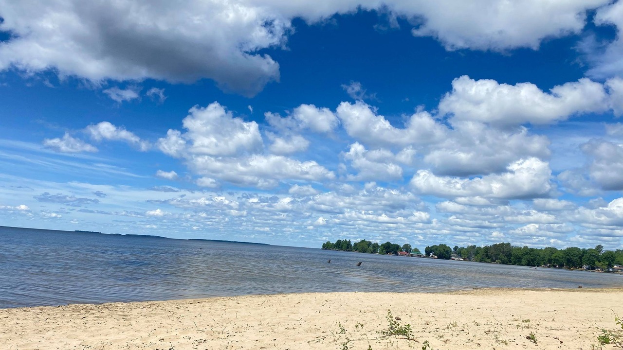Photo of Others in North Bay