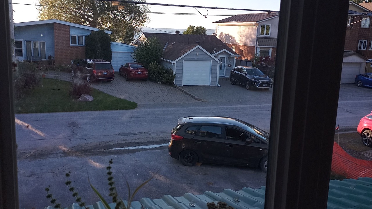 Photo of Others in North Bay