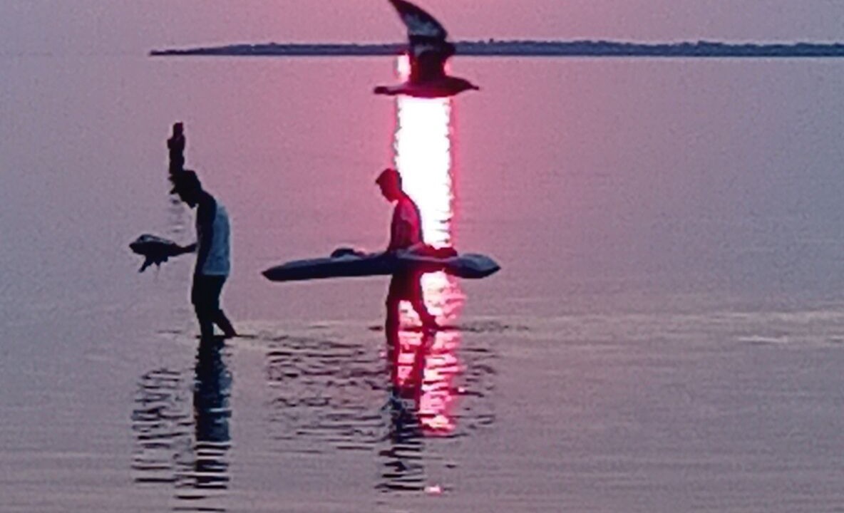 Photo of Others in North Bay