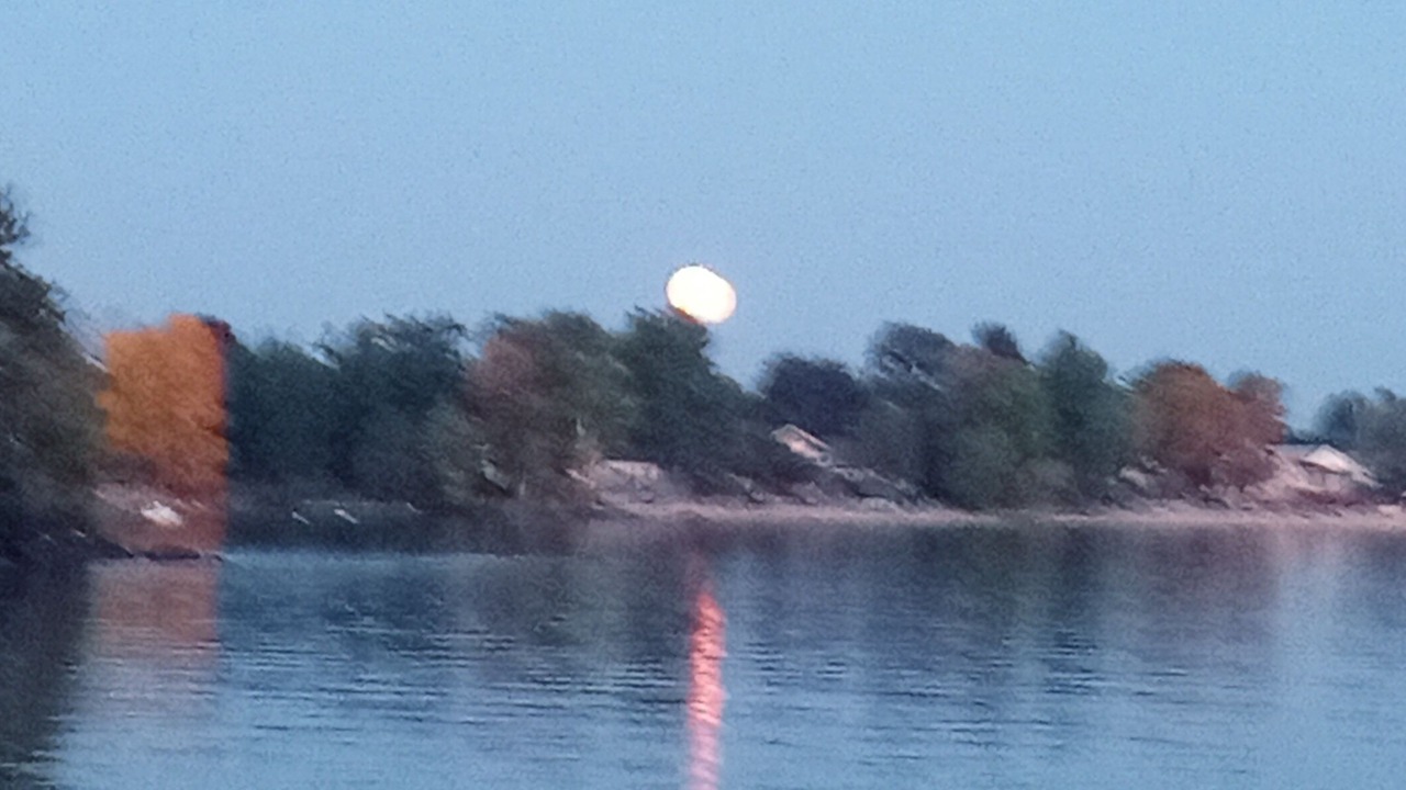Photo of Others in North Bay