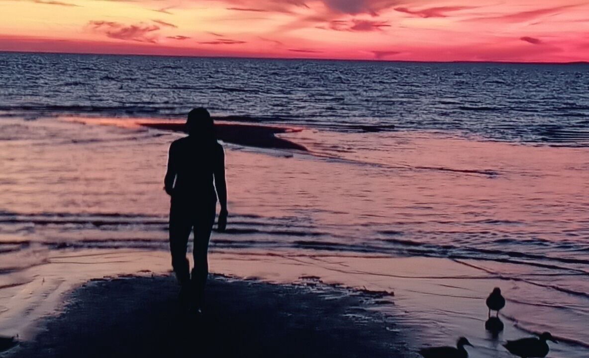 Photo of Others in North Bay