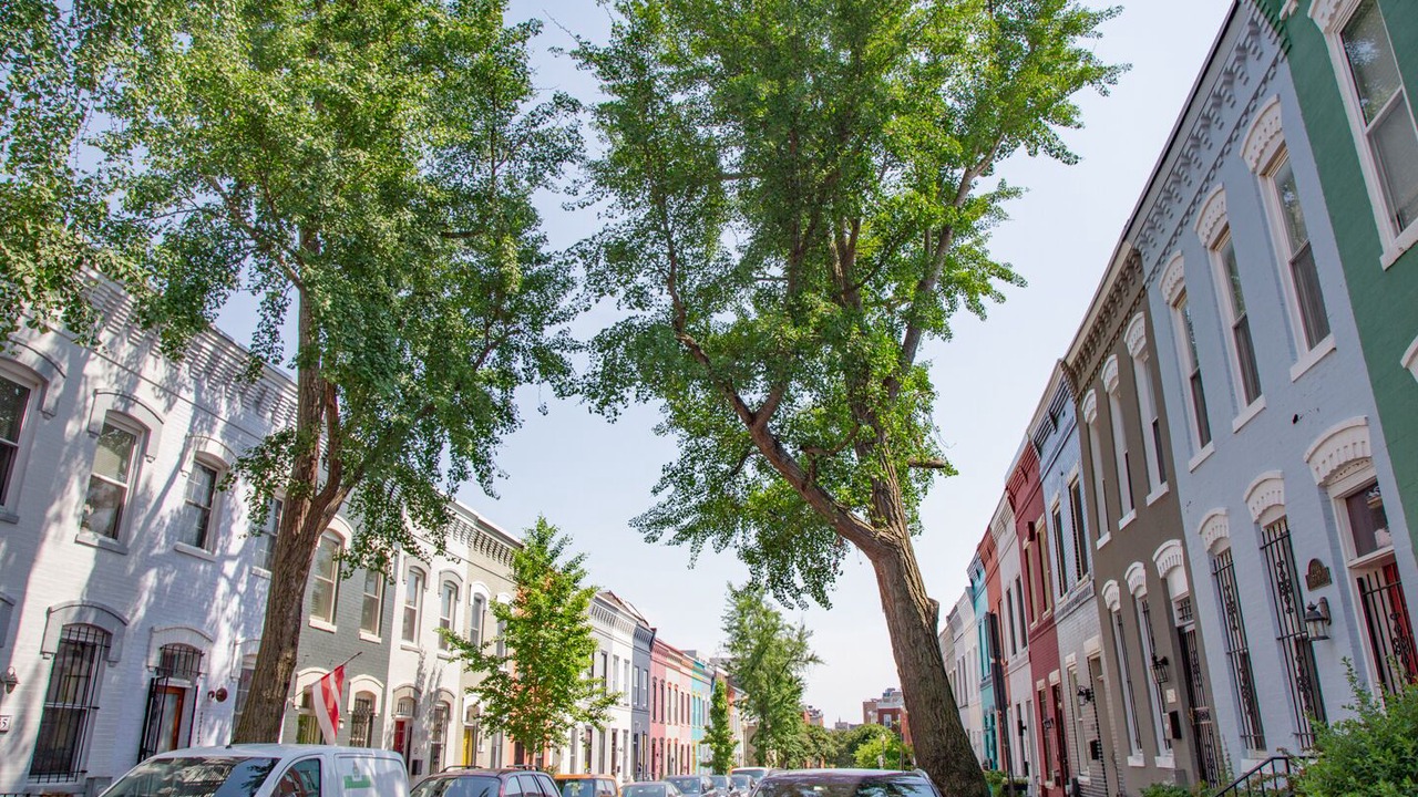Photo of Others in U Street Corridor
