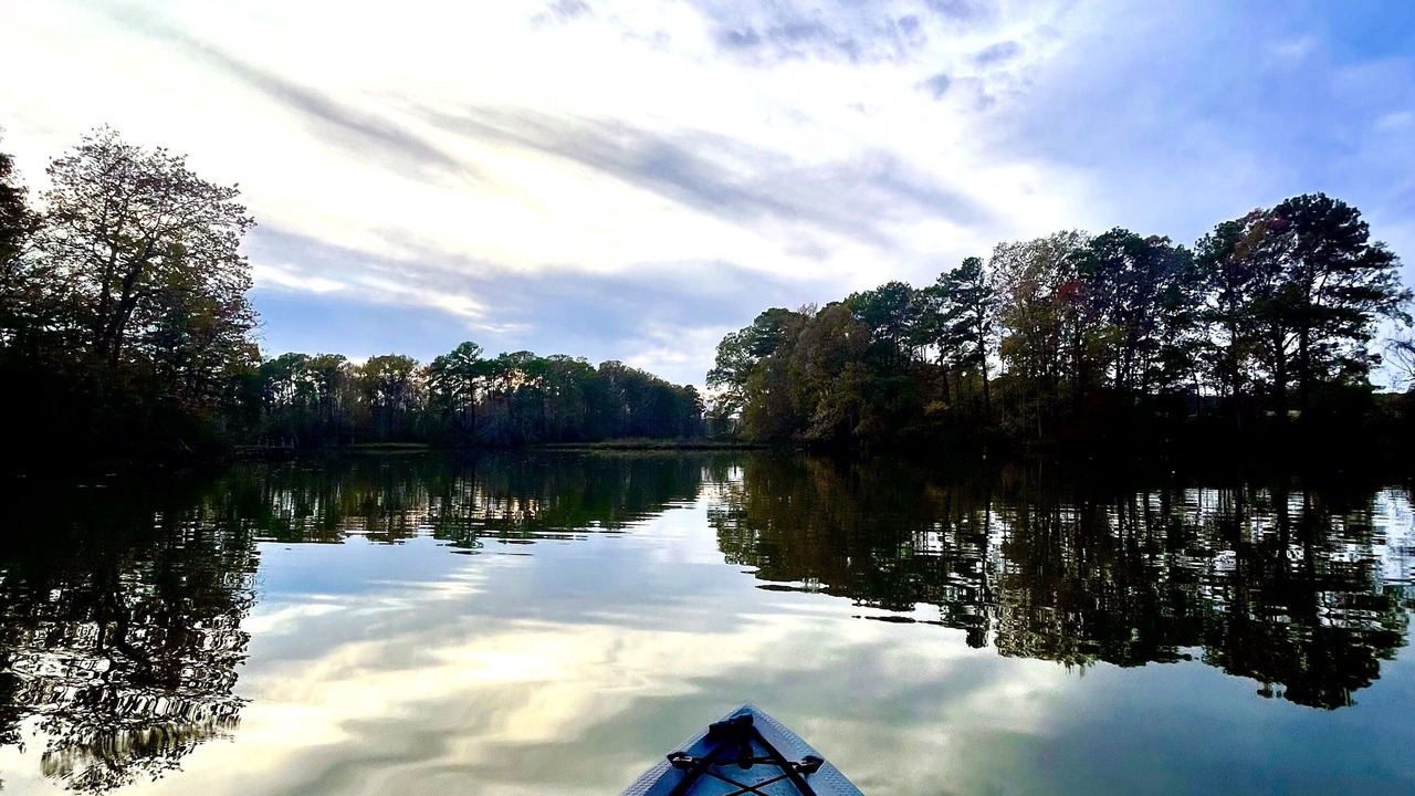 Photo of Others in Reedville