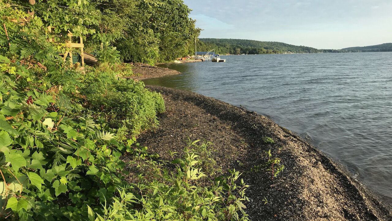 Photo of Others in Skaneateles
