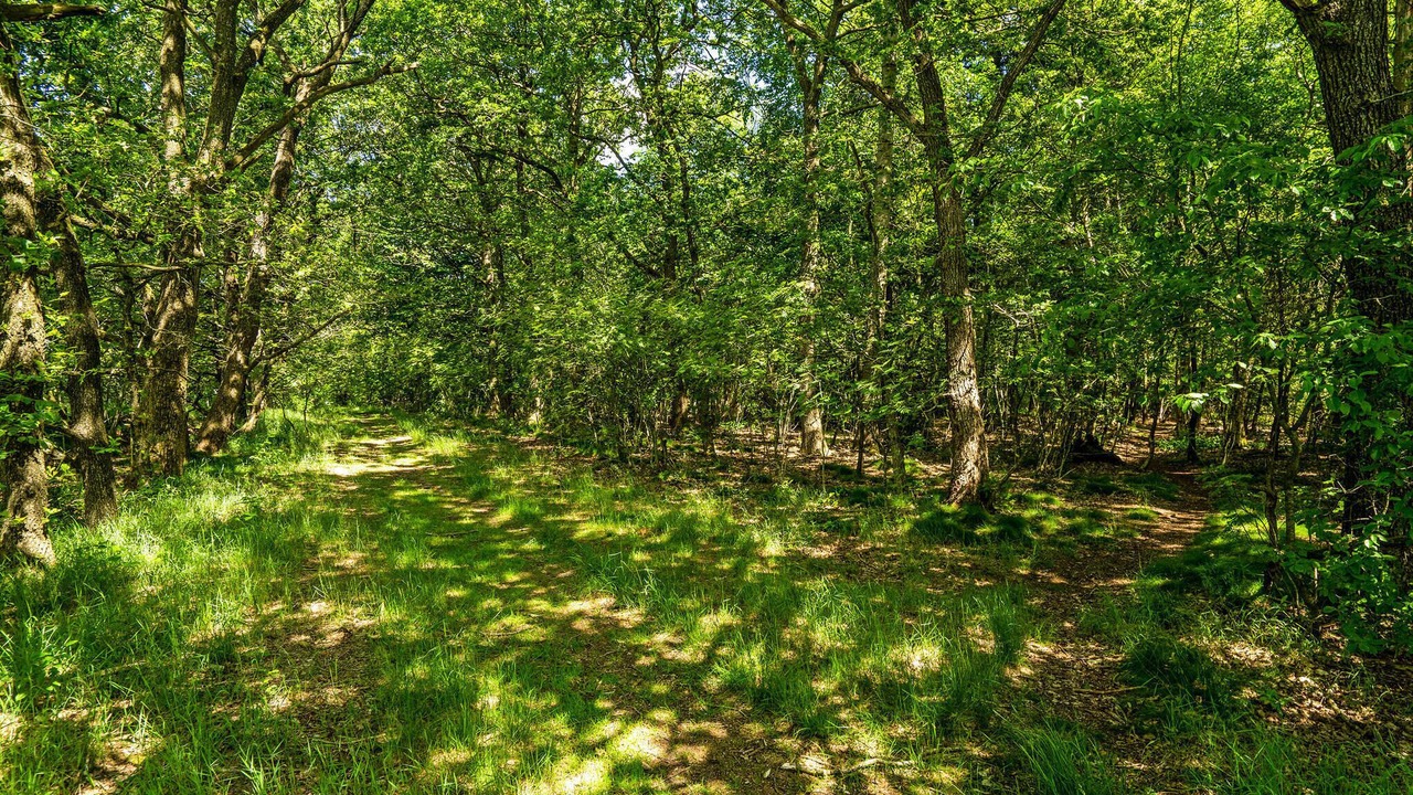 Photo of Others in Hampen