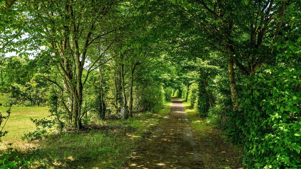 Photo of Others in Hampen