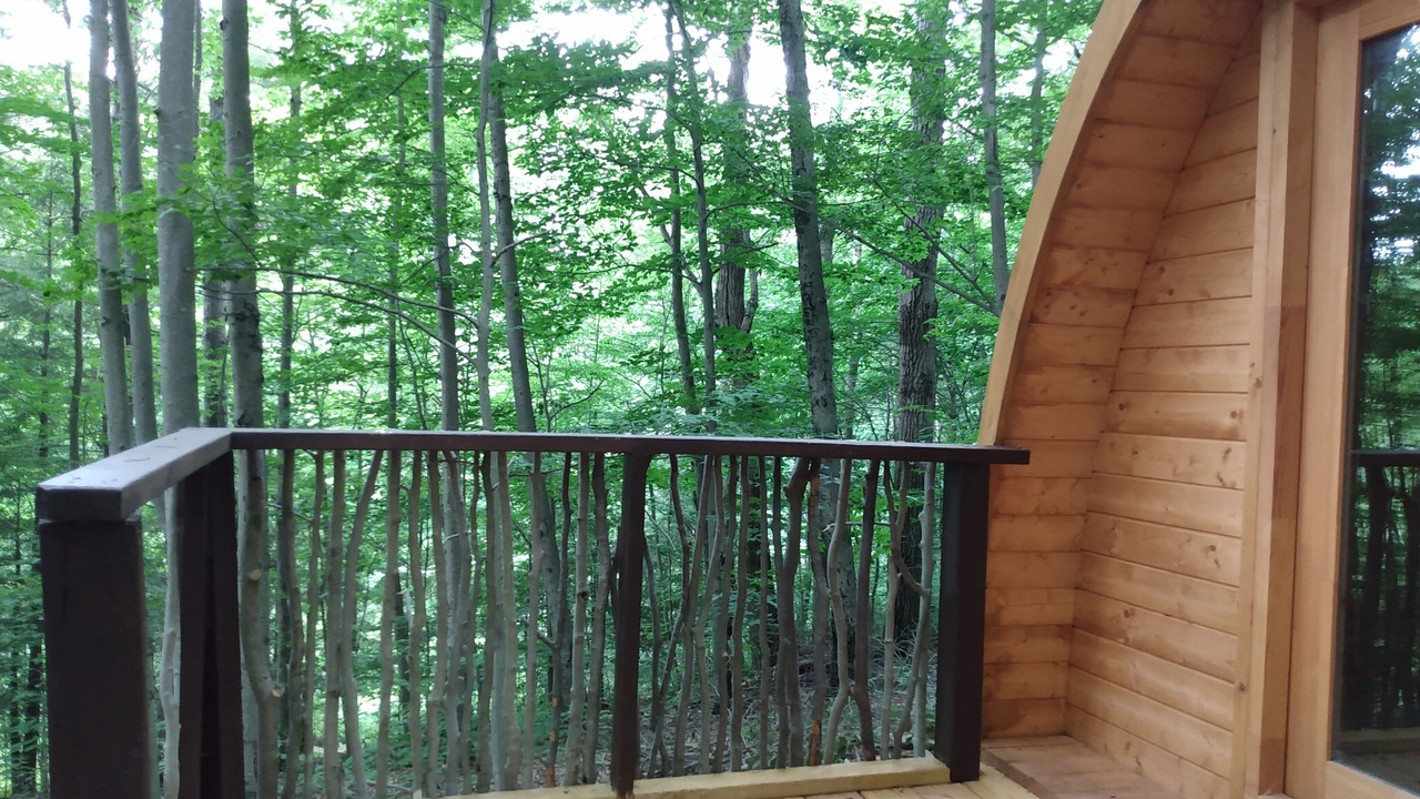 Photo of Patio Balcony in Dryden