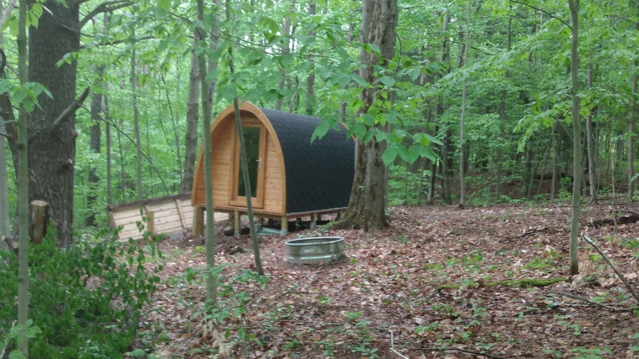 Photo of Outdoor in Dryden