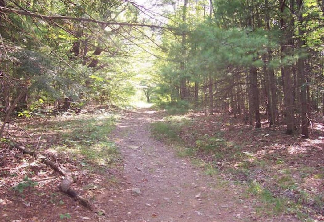 Photo of Outdoor in Dryden