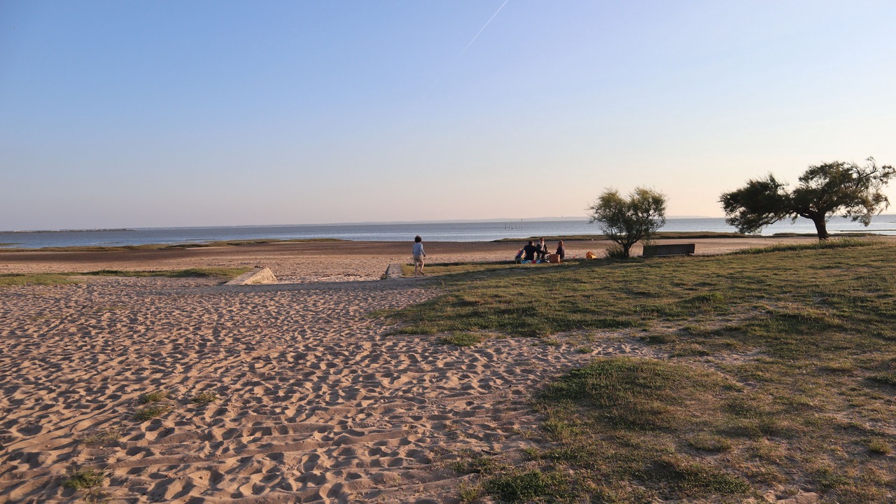 Photo of Others in Taussat